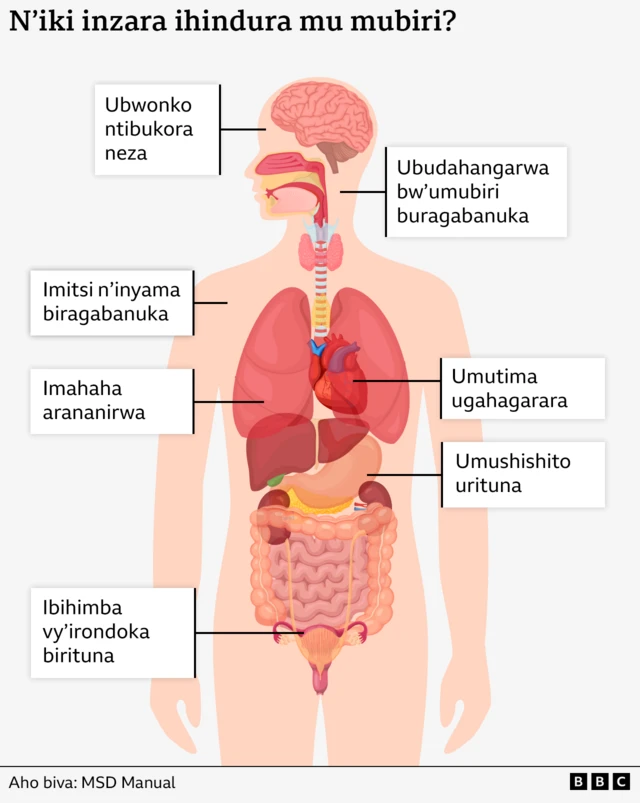 Ingaruka z'inzara y'igihe kire kire 