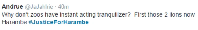 「Andrue」さんは「なんで動物園は即効性の麻酔を使わなかったんだ。あのライオン2頭に続いて今度はハランビだ」とツイート。