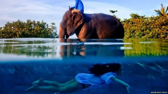 ਬੁਝਾਰਤ / Riddel