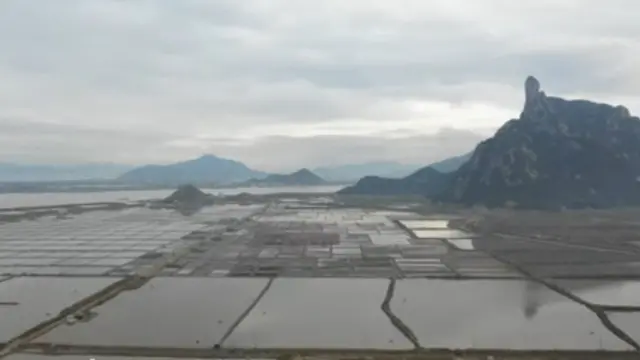 नमक के फ़ार्म