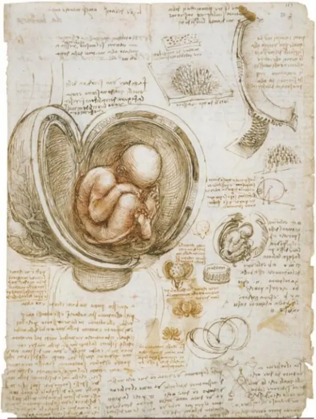 Leonardo da Vinci