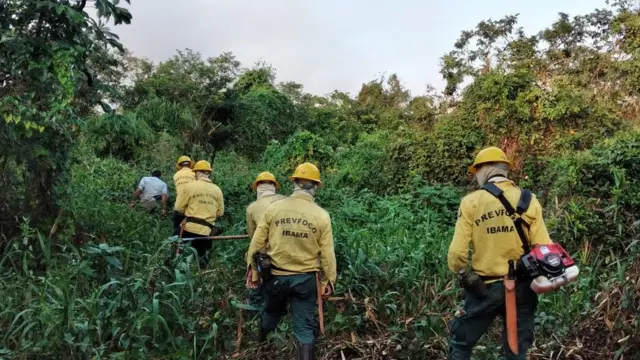 Brigadistas do Prevfogo atuando no Pantanal