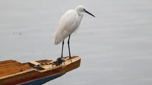 जलाशय