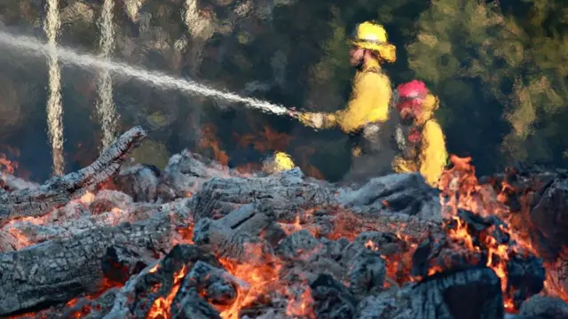 Пожежні борються з вогнем у Каліфорнії