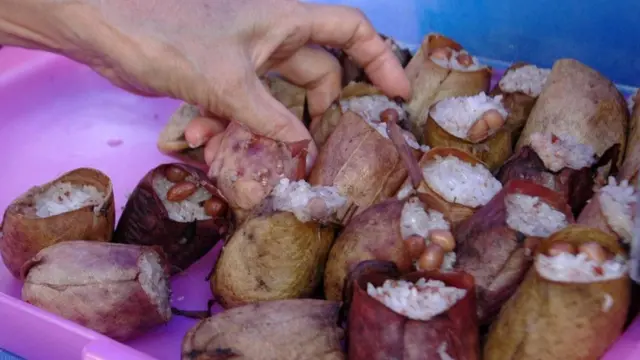 نبات أبريق محشو