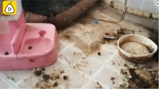 ચીન