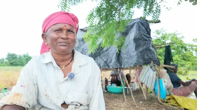 शारदा
