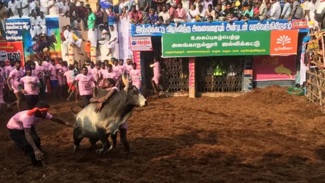 முடிவடைந்தது அலங்காநல்லூர் ஜல்லிக்கட்டு