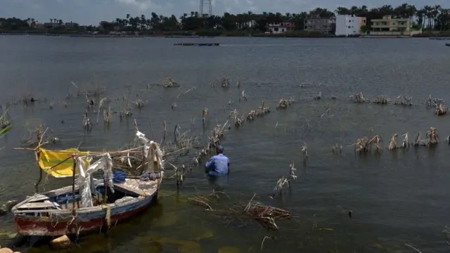 Namicha qarqara laga Abbayyaa jiru.