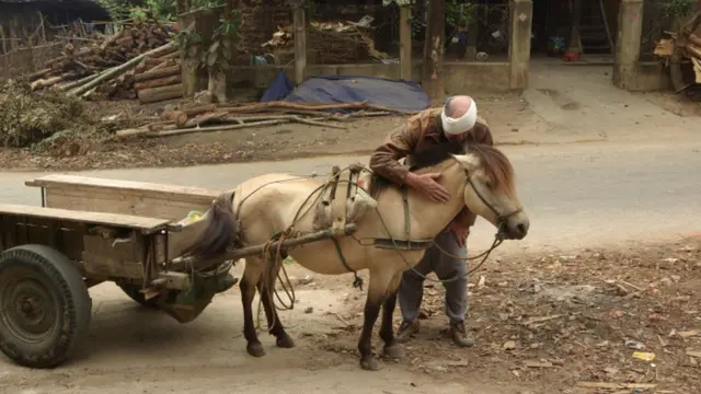 Siu Pham, Con đường trên núi