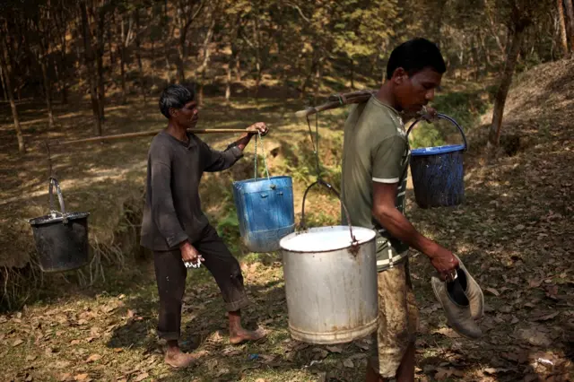प्राकृतिक रबड़
