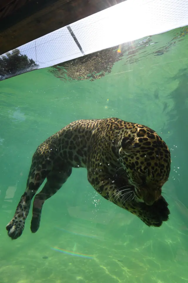 بورڈوا، فرانس، ہیٹ ویو