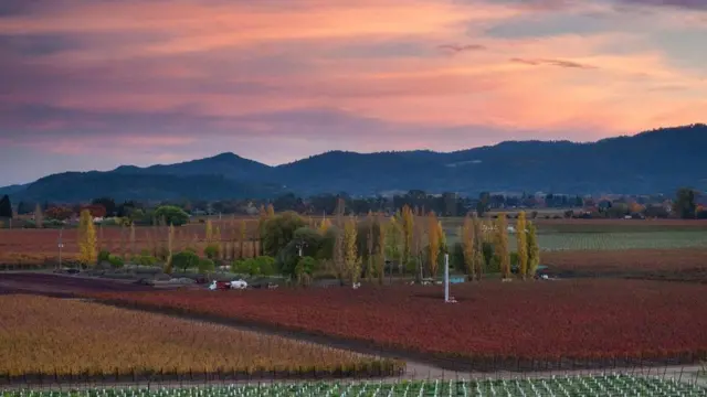 وادي نابا بولاية كاليفورنيا