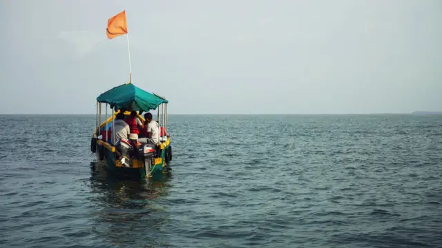 గోవా, హంప్బ్యాక్ డాల్ఫిన్లు