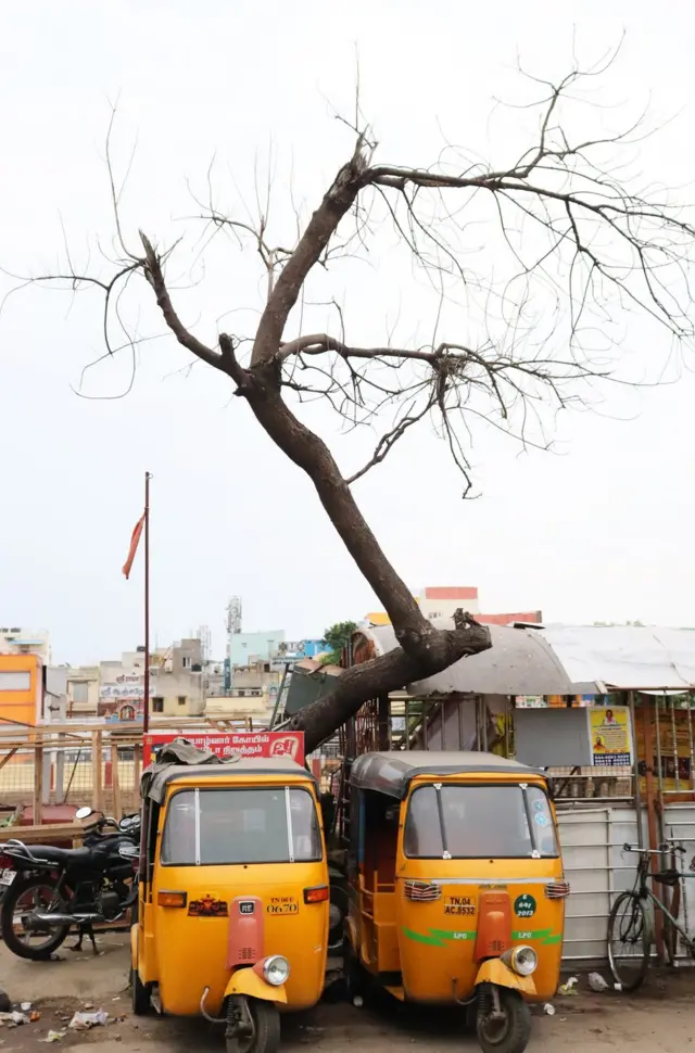 போக்குவரத்து: பிபிசி தமிழ் நேயர்களின் சிறந்த புகைப்படங்கள்