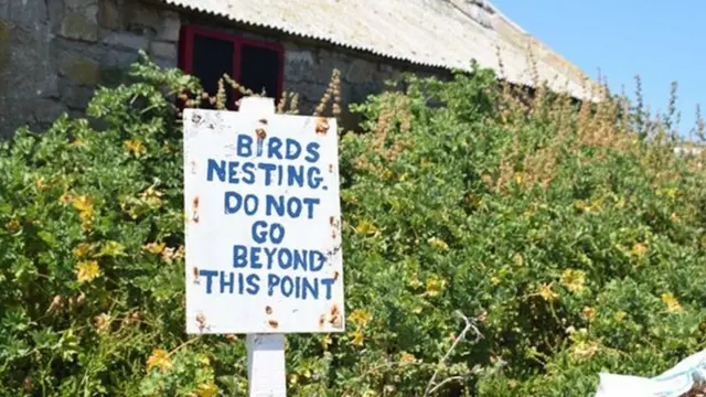 새들이 둥지를 트는 지역 근처에 접근할 수 없음을 안내하는 표지판이 서있다