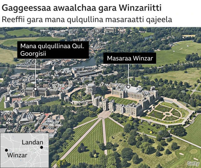 Gaggeessaa reeffaa gara Winzariitti