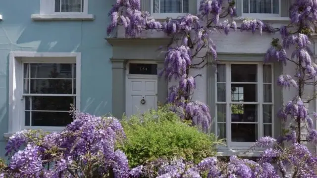 บ้านที่ปลูกดอกไม้เลื่อย