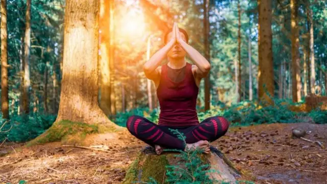 الاستشفاء بالغابات