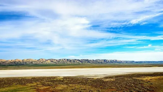 (圖片來源: Zack Frank)