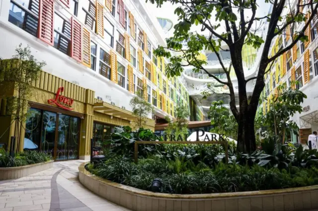 ኣይከን ኦቭ ዘ ሲስ