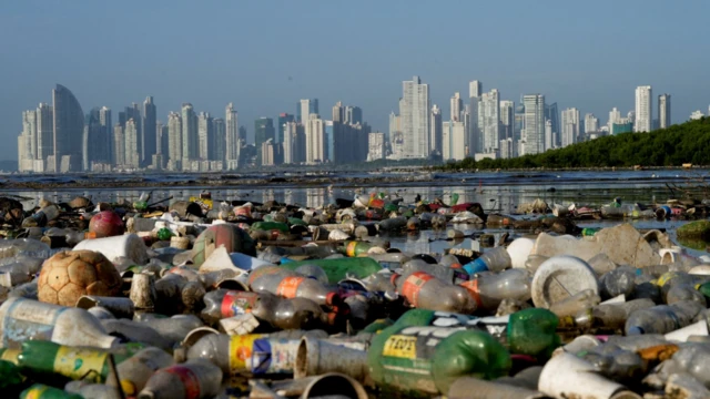 Le plastique polluant une zone de mangrove se trouve dans la baie de Panama, à Panama City - au premier plan se trouvent de nombreuses bouteilles en plastique et autres morceaux de déchets plastiques, avec l'eau des mangroves visible derrière eux, et la ligne d'horizon de Panama City alors visible au loin, créant un contraste intéressant