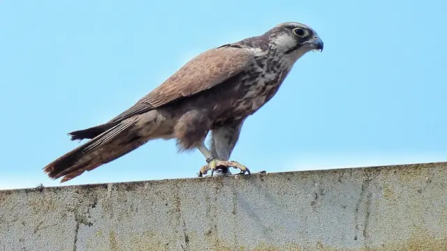 કરાચી, પાકિસ્તાન, નળસરોવર