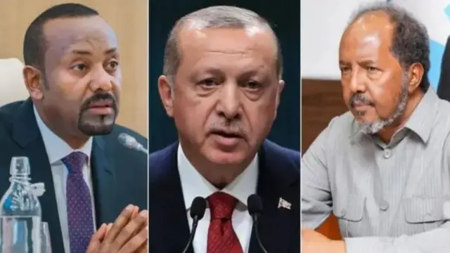Bishii December, hoggaamiyayaasha Soomaaliya iyo Itoobiya ayaa ku kulmay Turkiga