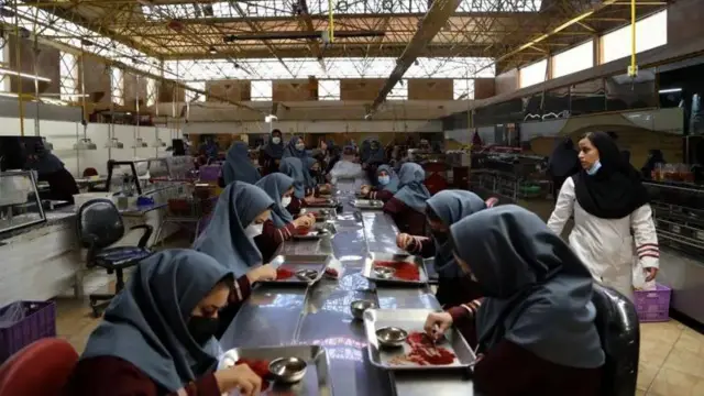 Perempuan yang bekerja di pabrik saffron tidak dianggap sebagai pencari nafkah utama keluarga berdasarkan hukum Iran.