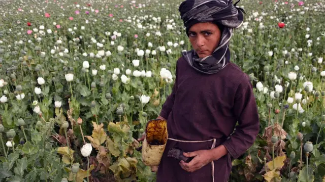 نشه يي توکي