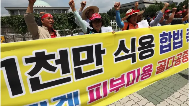 개 식용 금지 법안 반대를 주장하는 구호를 외치는 대한육견협회 회원들