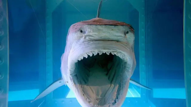 عمل فني للفنان البريطاني داميان هيرست،