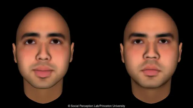 Princeton University, Social Perception Lab, psikologi, ekspresi wajah, emosi