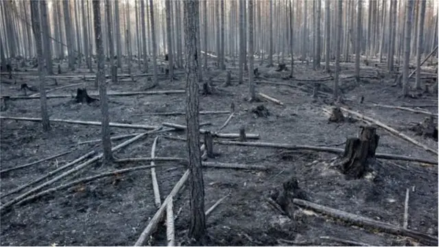 जागतिक तापमान वाढ