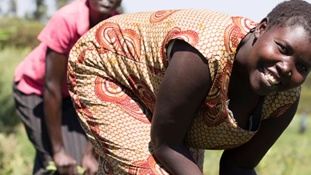 زراعة المحاصيل في كينيا