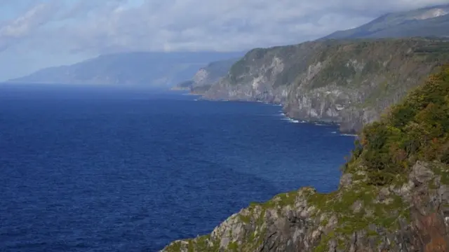 Image shows coastline