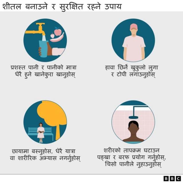 तातो हावा