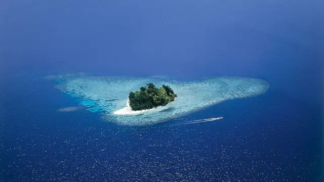 俯瞰海洋