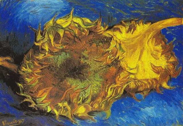 Sunflowers 1887. Vincent van Gogh. MoMA