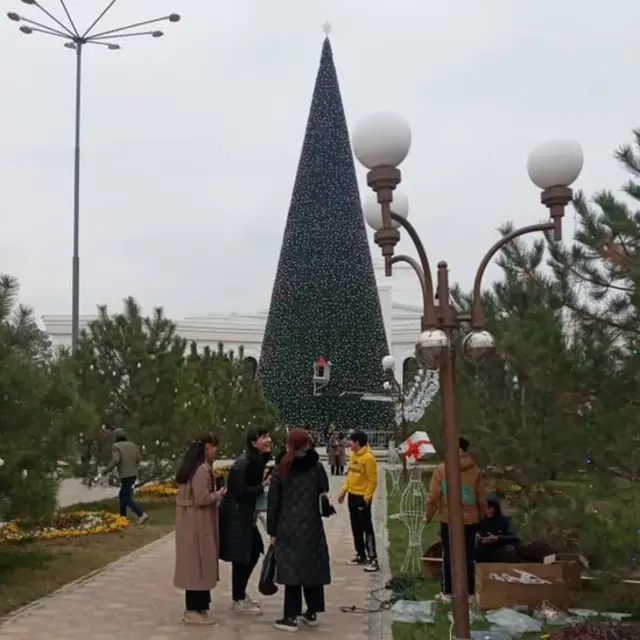 Термиздаги арча