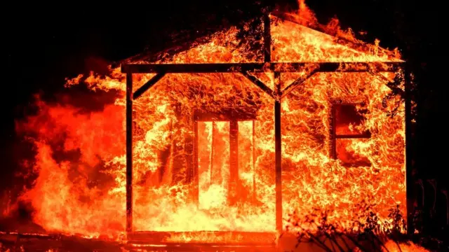 कैलिफ़ोर्निया के जंगलों में आग