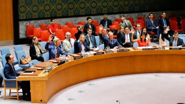 Consejo de Seguridad de la ONU