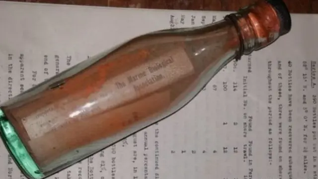 suya atılmış butılka