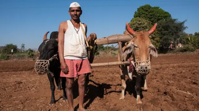 प्रातिनिधिक फोटो