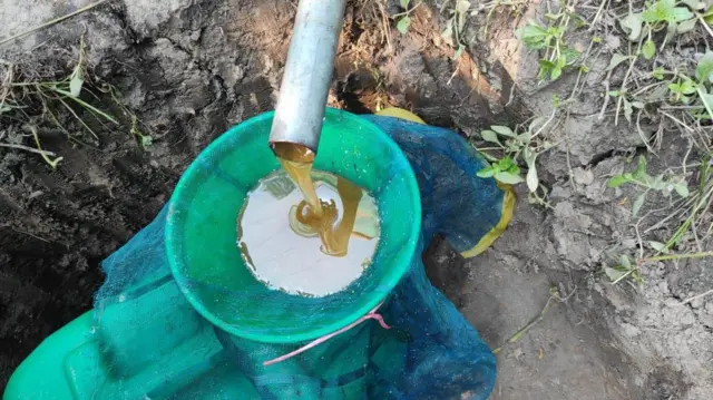 মধু রিফাইন করে সংগ্রহ করা হচ্ছে