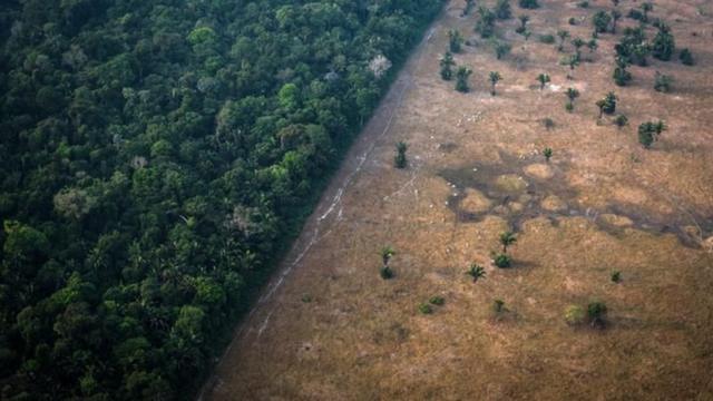 Área desmatada na Amazônia