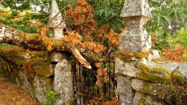 شکستہ شکستہ