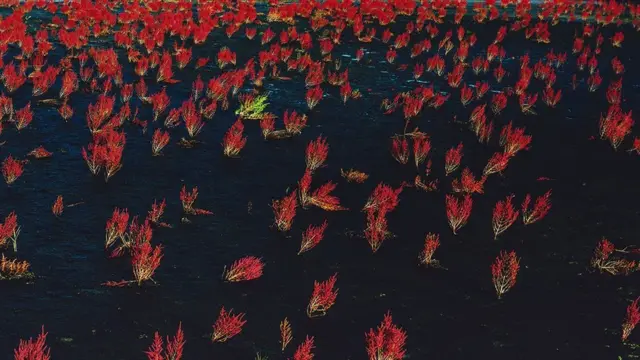 မြန်မာ ကိုရီးယား ပူးတွဲဓာတ်ပုံပြပွဲ