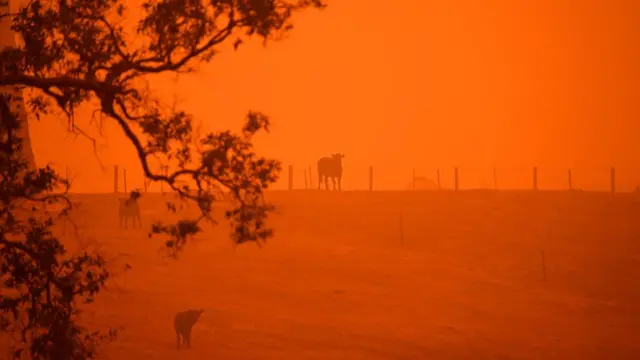آتش‌سوزی در استرالیا