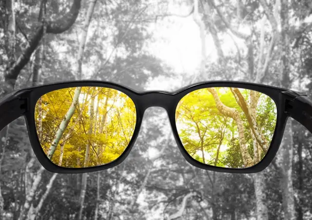 Image of a pair of colour blindness glasses - we see a forest, mostly yellow and green